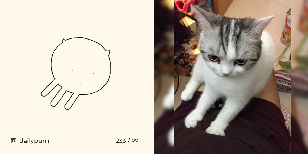 1526029949725a97ccc477b