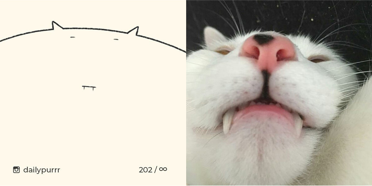 152602995011993a58f4ed9