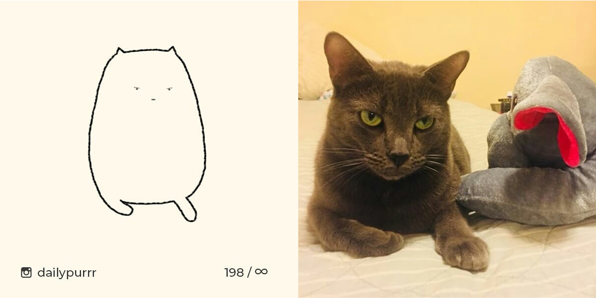 1526029950243166f4bce3d