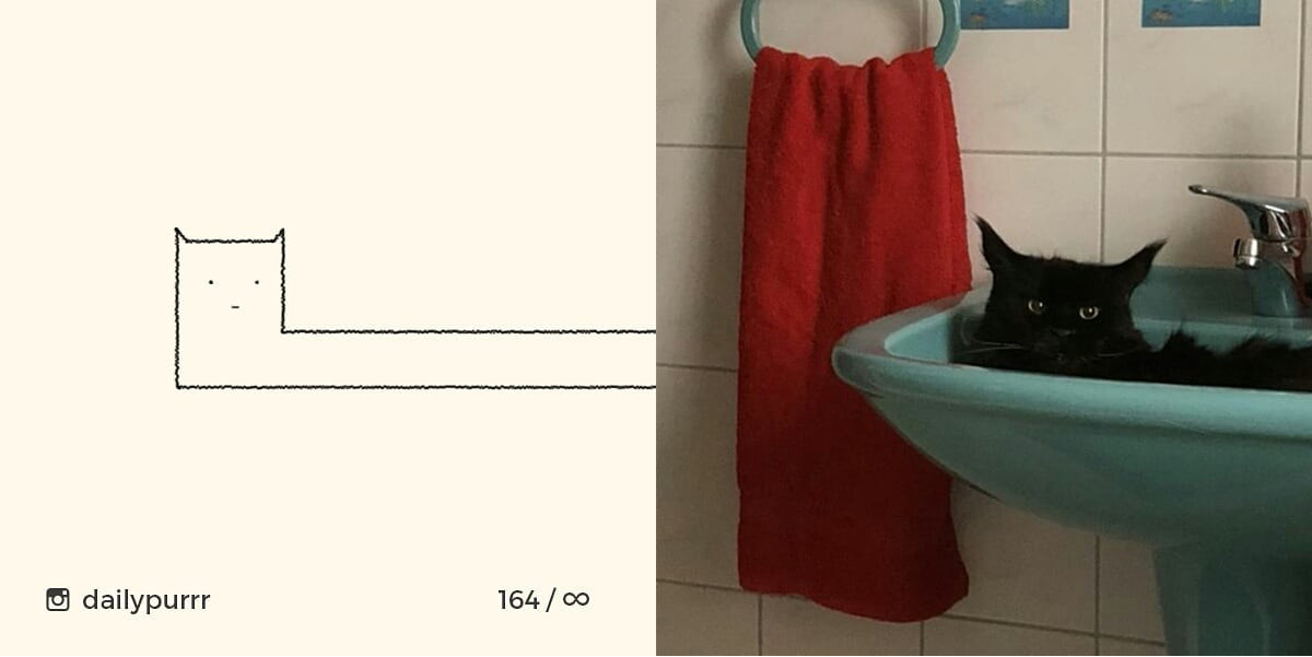 1526029950591b6b7751636