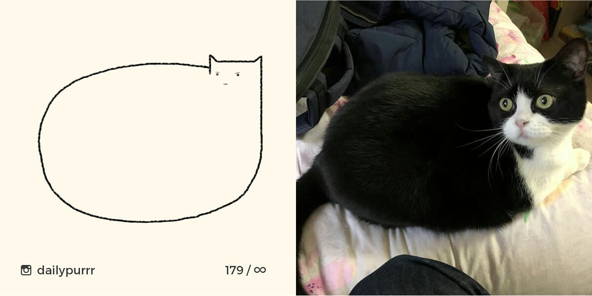 15260299505150b1c885203