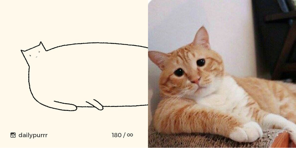 1526029950609c687672234