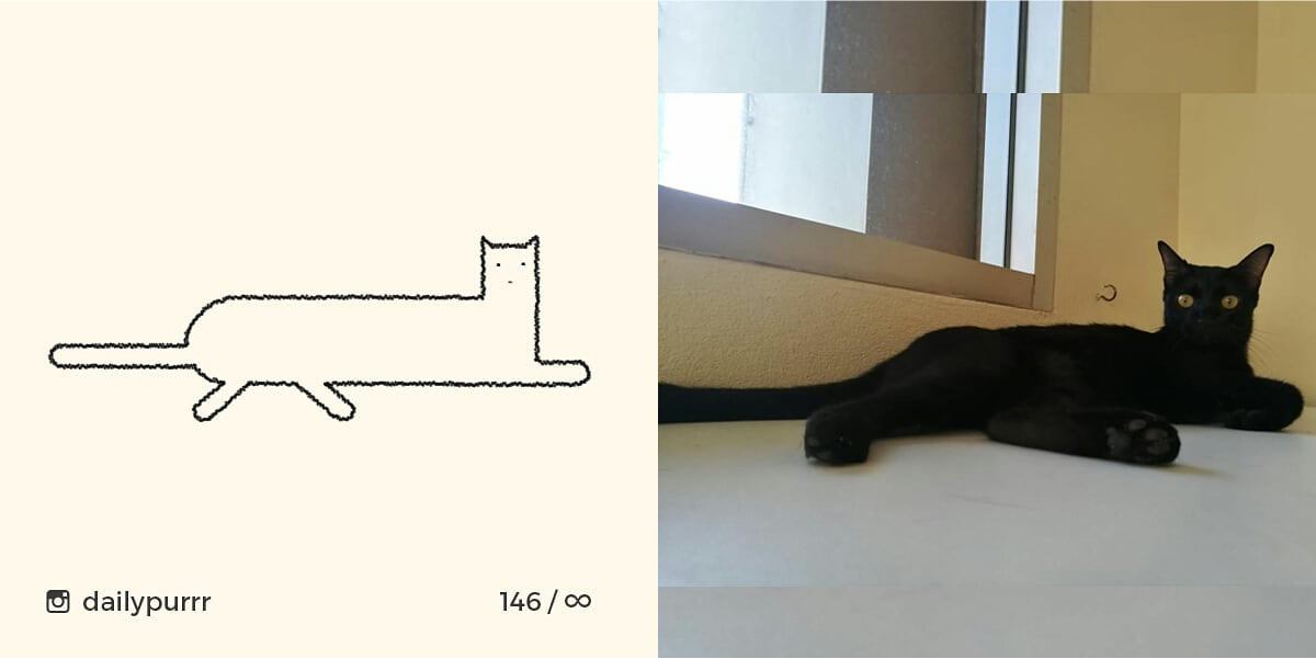 1526029950582bb40c6e9a1