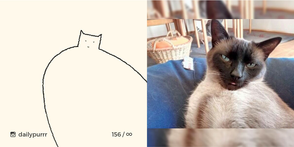 1526029951070330d050d87