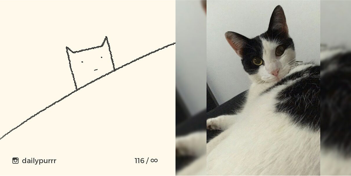 152602995095477047e5d79