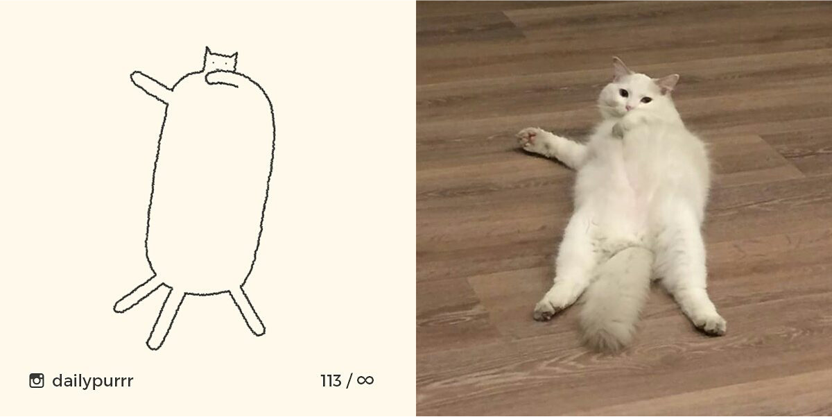 1526029950923d2e53ad9d1