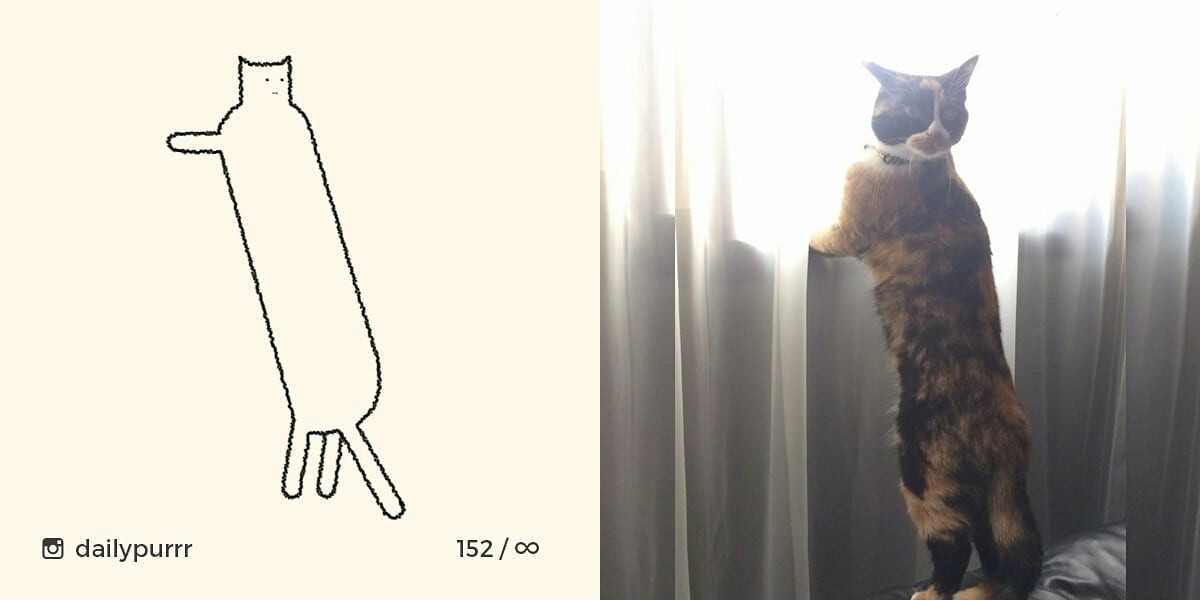 152602995123909eeb7a273