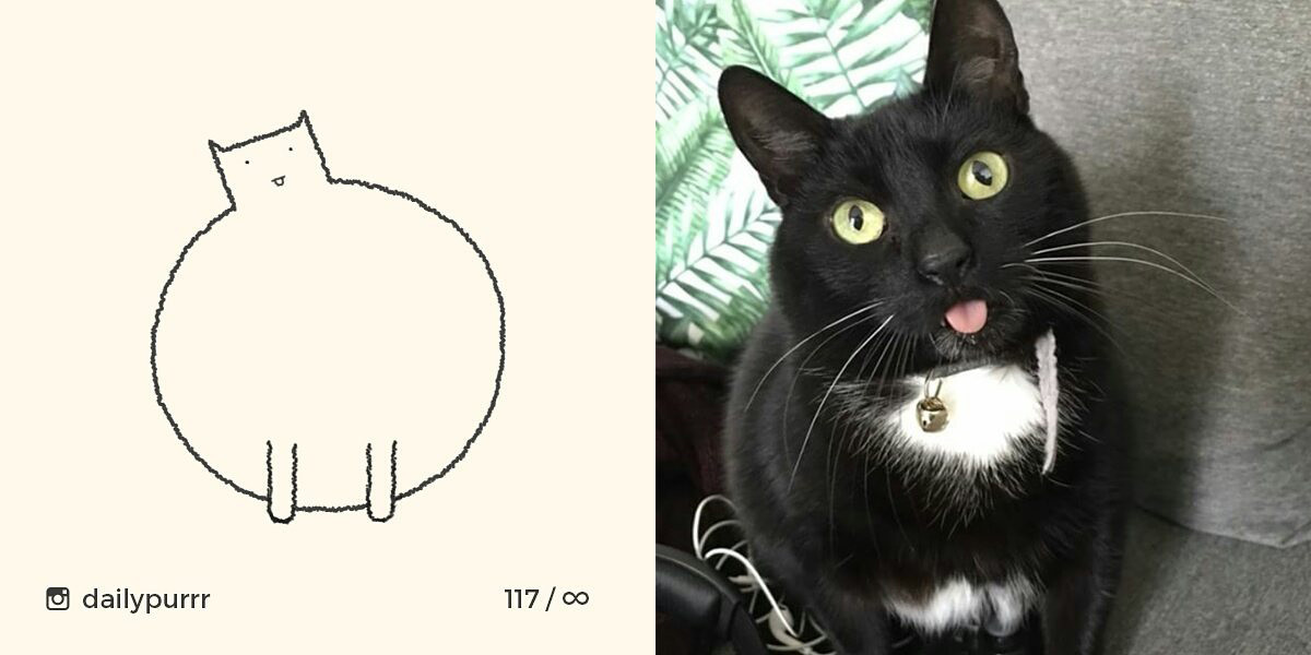 15260299515138265e0fbb6