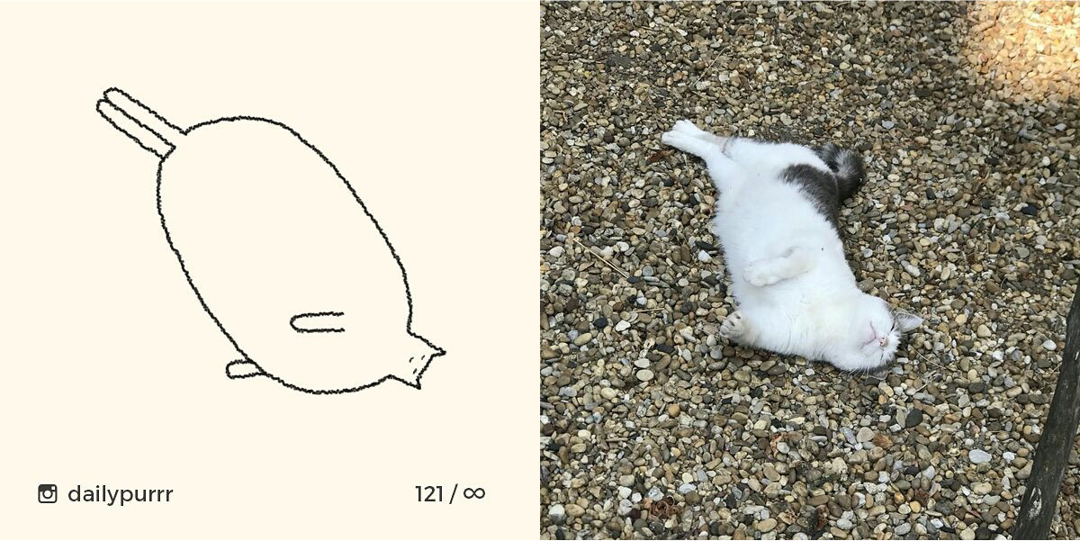 1526029951442004349a217