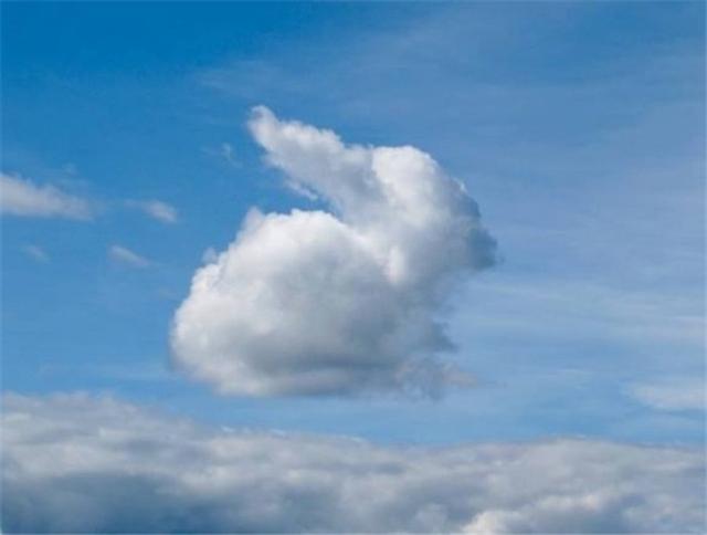 53e500006a13b58556ad