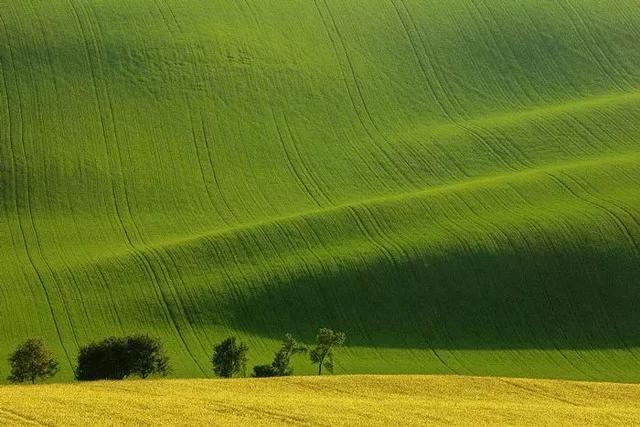 50a9000353e369e0bbc0