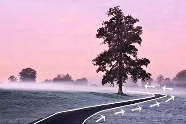 66c00003855251cc8eeb