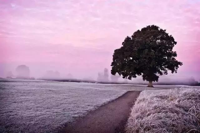 66c10002b953e2c3059d