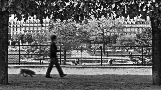 66c10002b954c9435b00