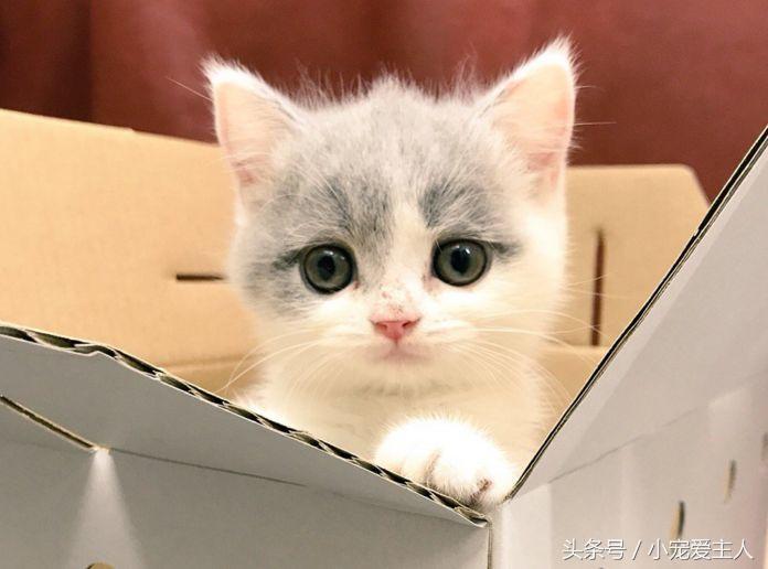 1526803181820a4a44108e3