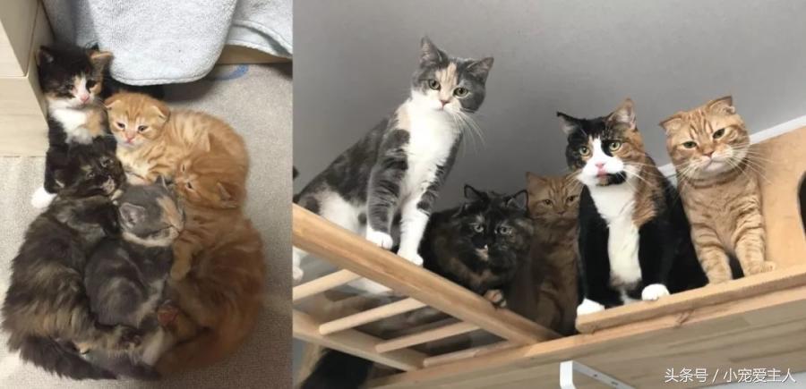 152680318182368c1b0b2c3