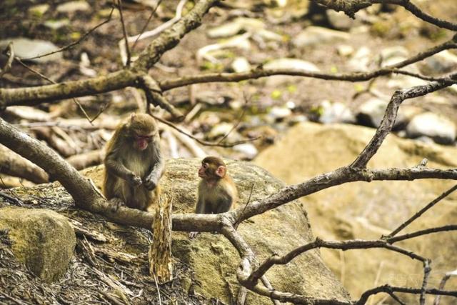 8357000de72f65883e90