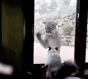 1526220915623451867151d