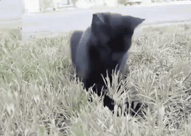 1526220915646faa92007e9