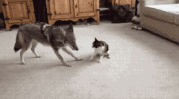 152622091664968bb2ceff6