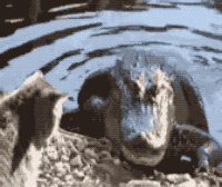 1526220916296f3efd09e27