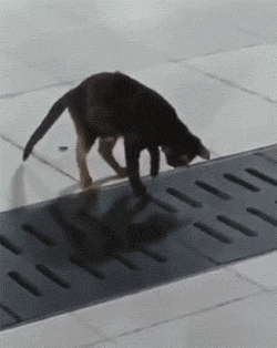 152622091667168d3e40d2f