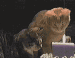 1526220917095f7b6c9ac59