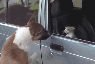 152622091721569d654aeac