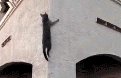 15262209173267fc3e1a2b9