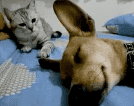 15262209177601557167716