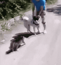 1526220917472edb940a595