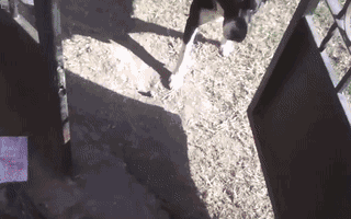 1526220917997a2deebc030