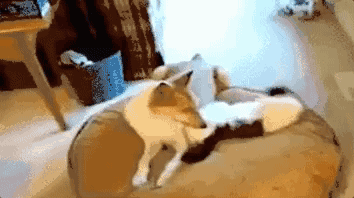 1526220917670fdebab7bda