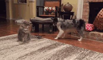 15262209183273dd0d4d7d7