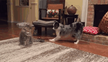 15262209183805813d022c3