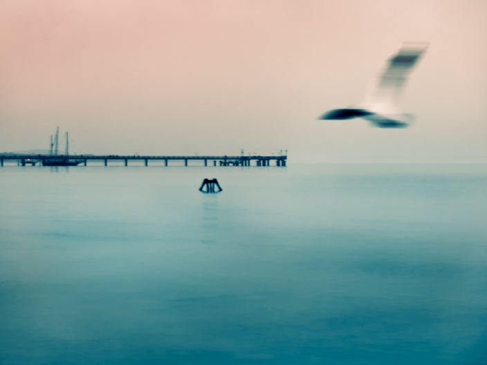 15263451036823565a9500e