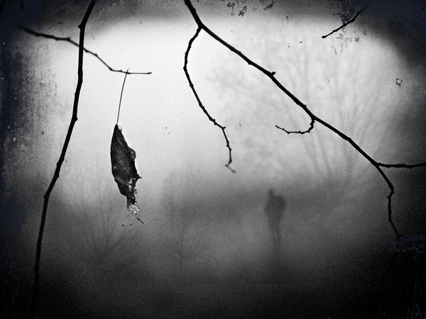 15263451077159601b1fd62