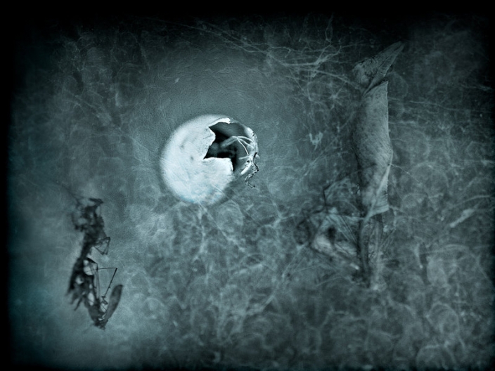 1526345115415e3d738562b