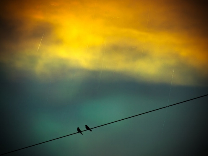 1526345132961b4546136ae