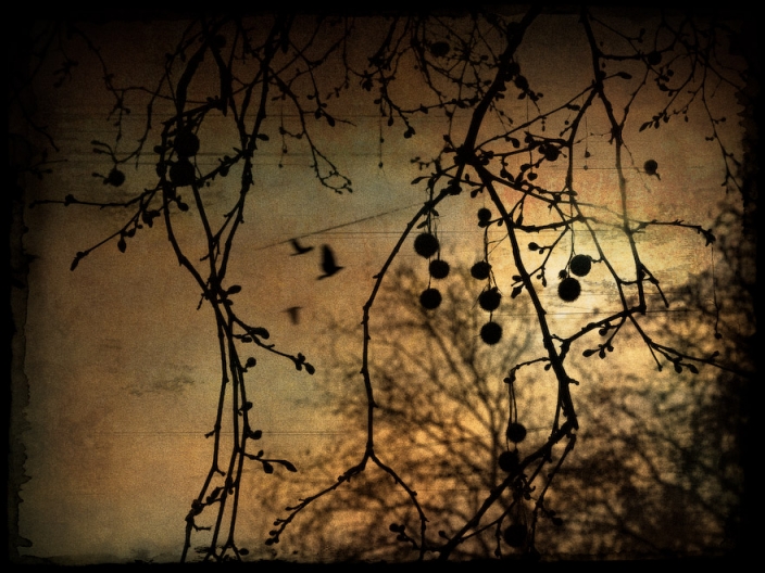 15263451378543ea61ed057