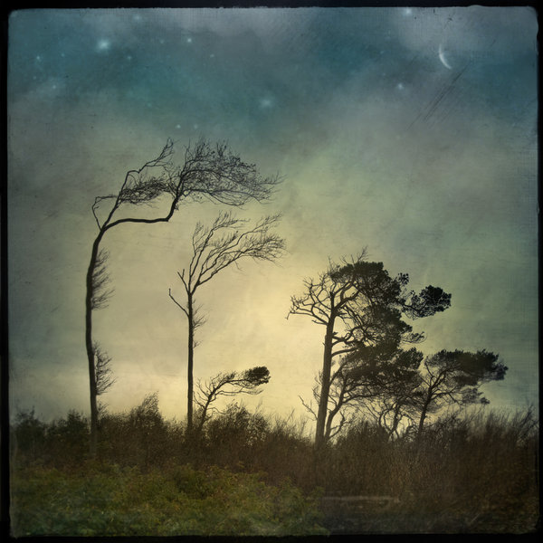 152634513405434795a533f