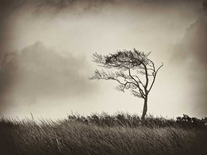 152634514540088af3a591b