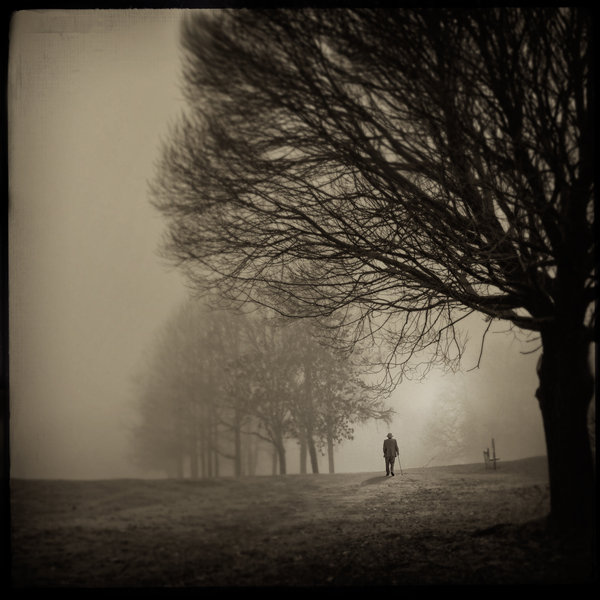 1526345150842d41e00d1f2