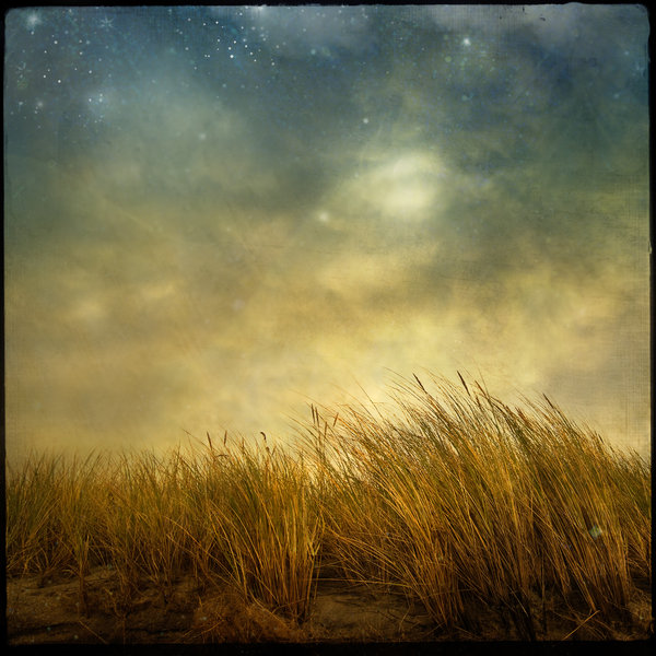 1526345152037da659cefe8