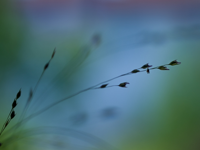 1526345166155c447c8384e