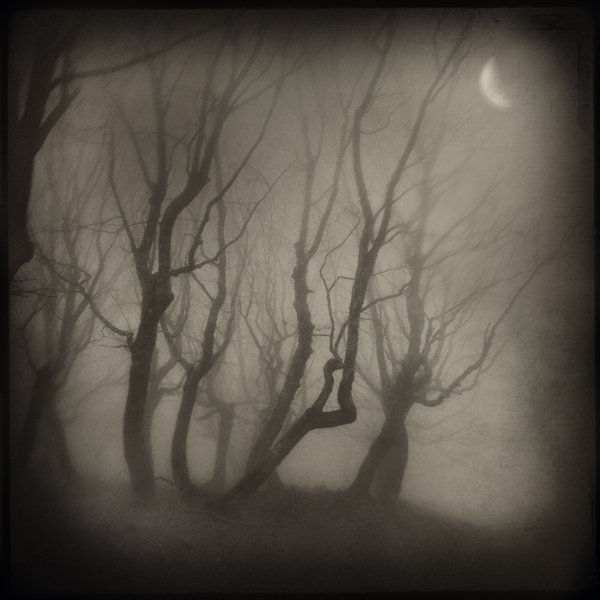 1526345175206e9c8f988dc