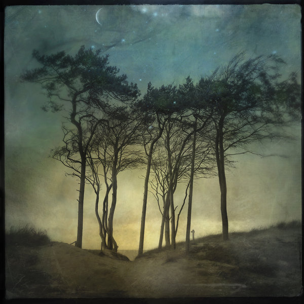 15263451783093777c88646