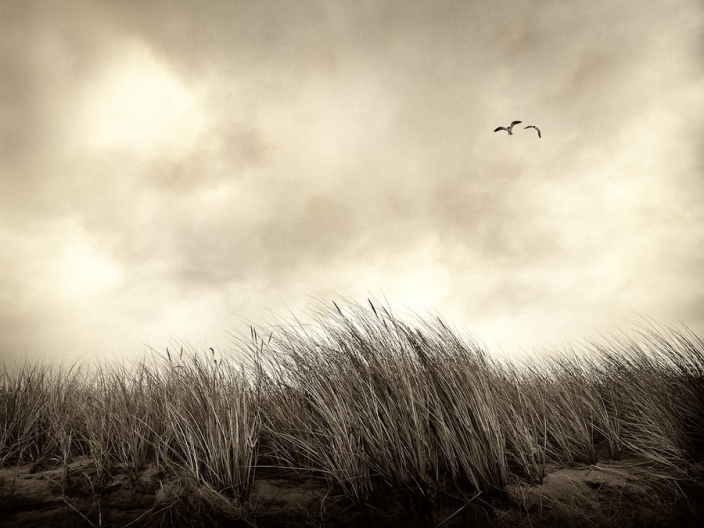 1526345181128c48d3e1e2b