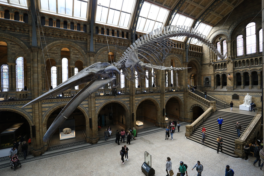 1526609502626d71034a4c5