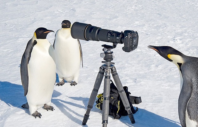 152689440150163264e2aba